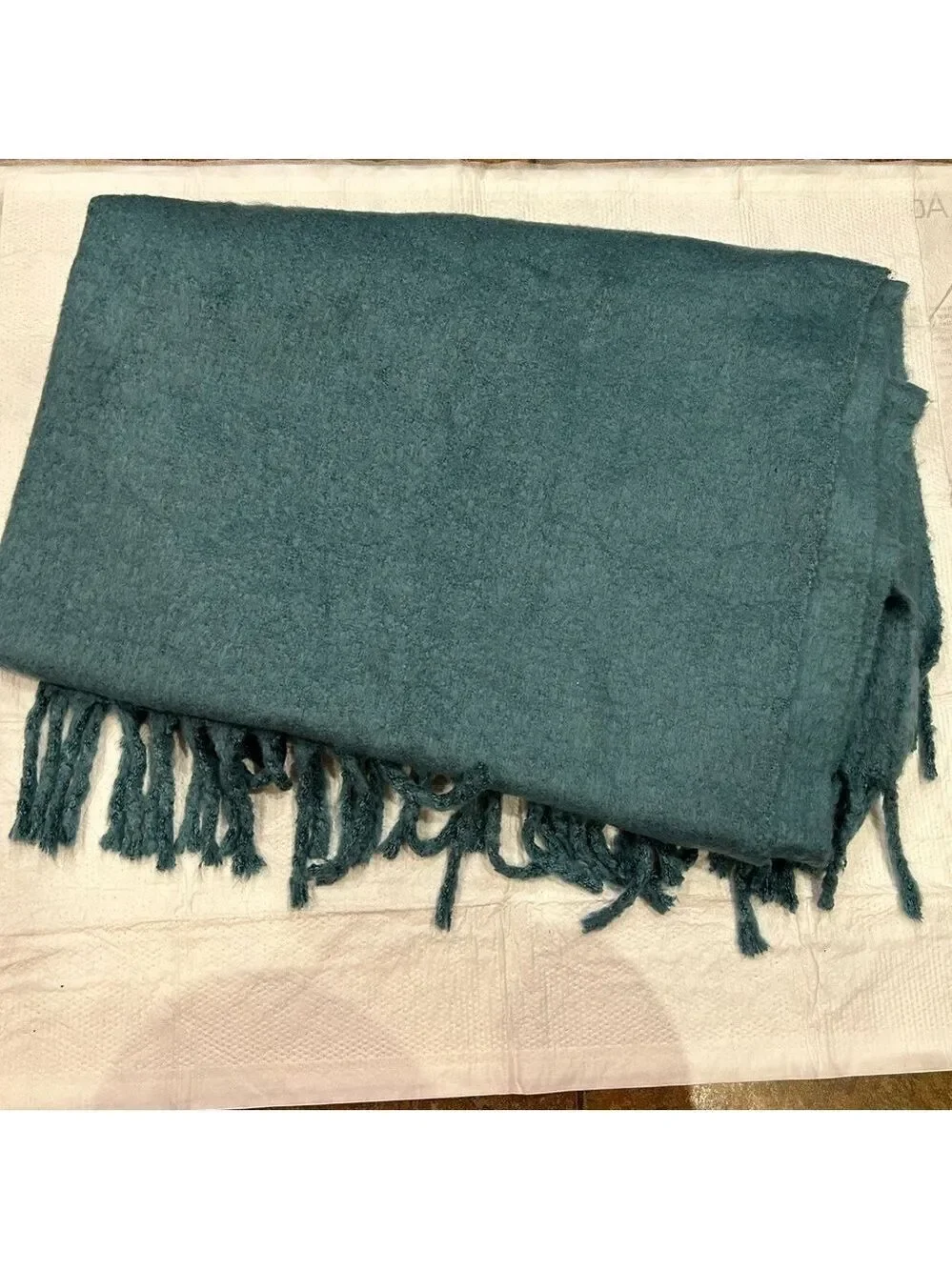 Pottery Barn Throw Blanket with Fringe Teal Very Soft Cosy 50x70” Acrylic